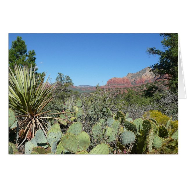 Red Rocks and Cacti I Cards (Front Horizontal)