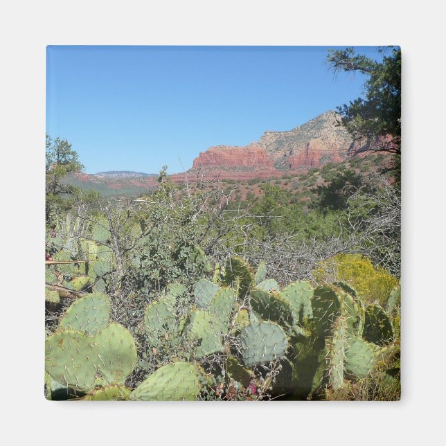 Red Rocks and Cacti I Magnet (Front)