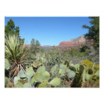 Red Rocks and Cacti I Photo Print