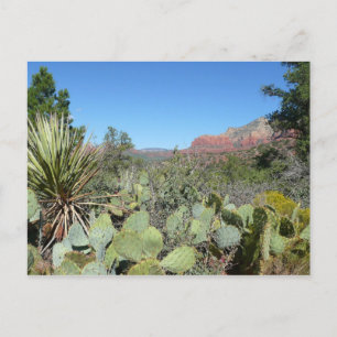 Red Rocks and Cacti I Postcard