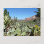 Red Rocks and Cacti I Postcard