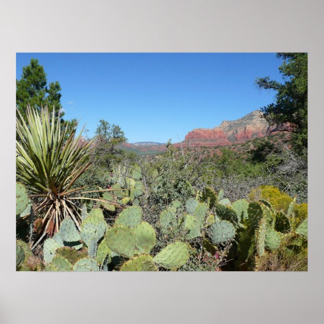 Red Rocks and Cacti I Poster (Front)