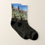 Red Rocks and Cacti I Socks