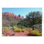Red Rocks and Cacti II in Sedona Arizona