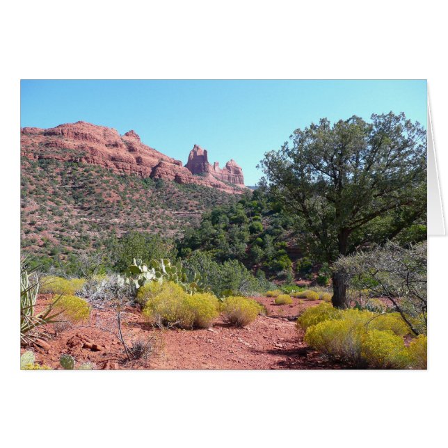 Red Rocks and Cacti II in Sedona Arizona (Front Horizontal)