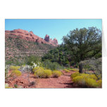 Red Rocks and Cacti II in Sedona Arizona Cards