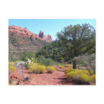 Red Rocks and Cacti II in Sedona Arizona Postcard