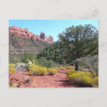Red Rocks and Cacti II in Sedona Arizona Postcard