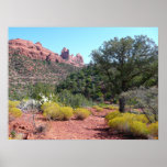 Red Rocks and Cacti II in Sedona Arizona Poster