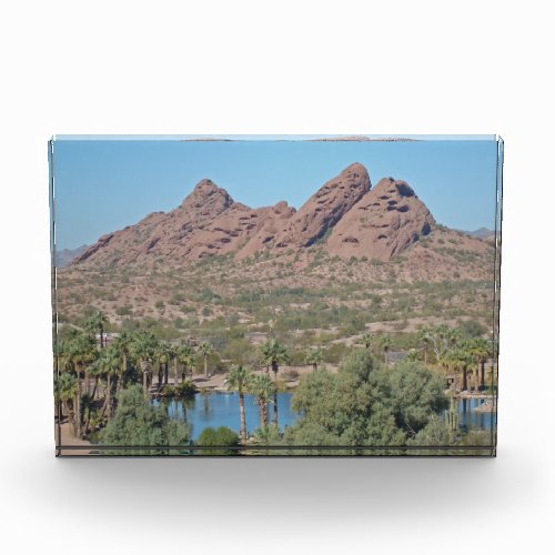 Red Rocks Arizona Palm Tree Landscape Photo Desert