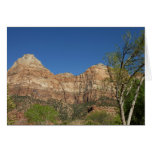 Red Rocks at Zion National Park Photography