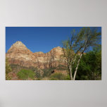 Red Rocks at Zion National Park Photography Poster