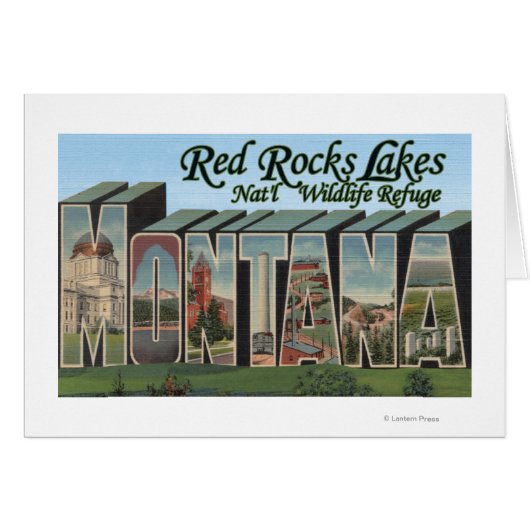 Red Rocks Lake Park, Montana Cards (Front Horizontal)