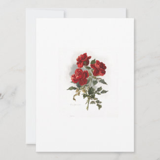 Red Romantic Roses Invitation