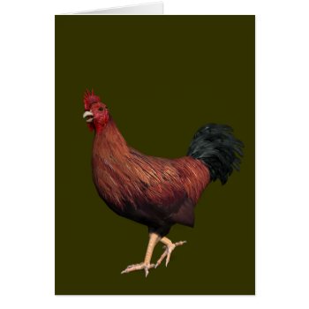 Red Rooster by Emangl3D at Zazzle