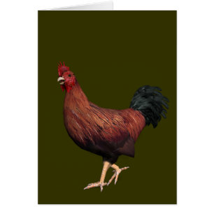 Red Rooster Cards