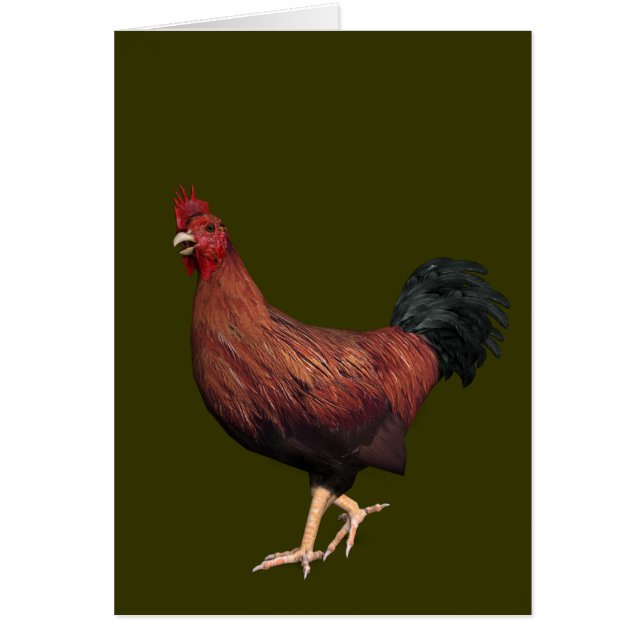 Red Rooster Cards (Front)