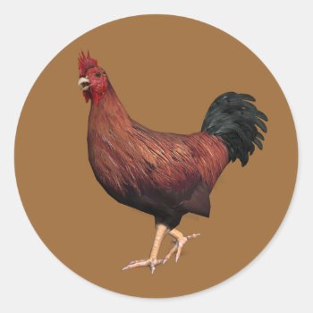 Red Rooster Classic Round Sticker by Emangl3D at Zazzle