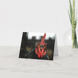 Red Rooster Letterpress Thank You Card