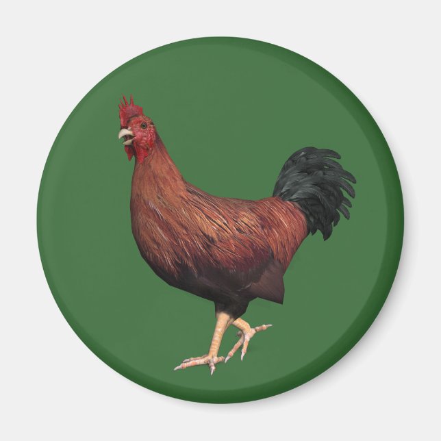 Red Rooster Magnet (Front)