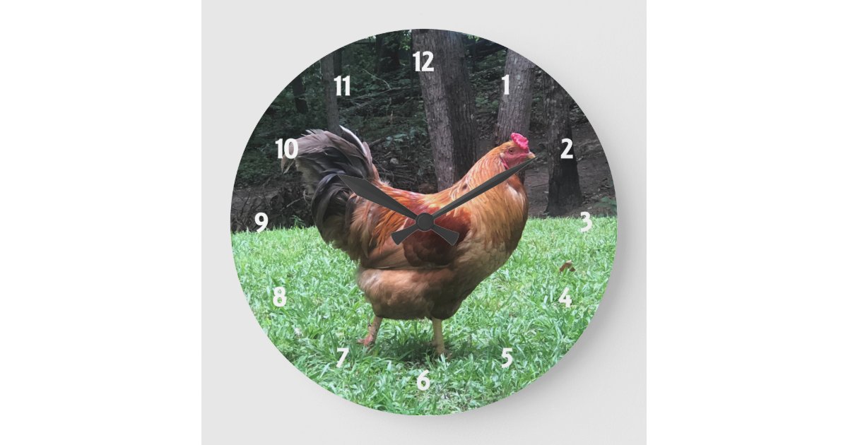 Red Rooster Wall Clock Zazzle