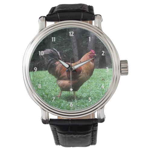 Red Rooster Watch