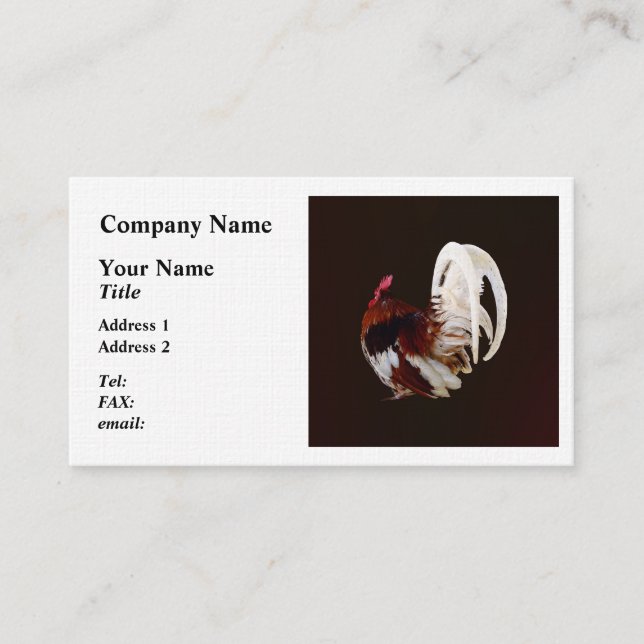Red Rooster With White Tail Feathers Business Card (Front)