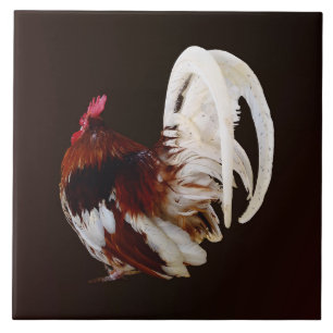 Red Rooster With White Tail Feathers Ceramic Tile