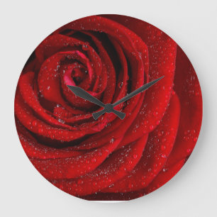 Red rosa morning large clock