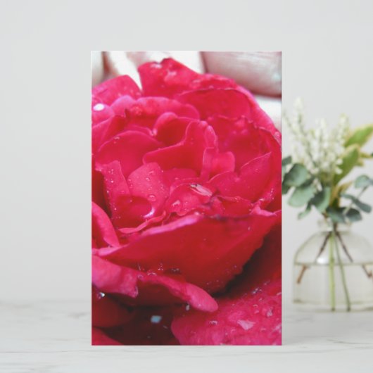 Red Rose (Standing Front)