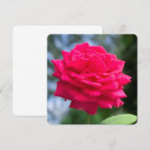 Red rose (Front/Back)