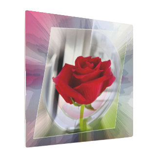 Red rose 2 metal print