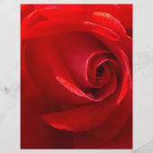 Red-Rose-3.jpg (Front)