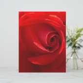 Red-Rose-3.jpg (Standing Front)