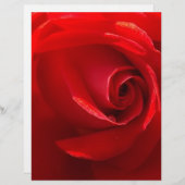 Red-Rose-3.jpg (Front/Back)