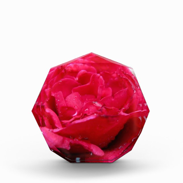 Red Rose Acrylic Award (Front)