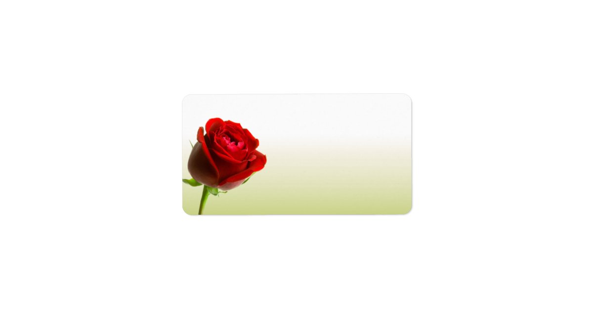 Red Rose Address Labels Zazzle