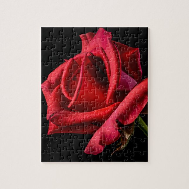 Red Rose Against Black Background Jigsaw Puzzle (Vertical)