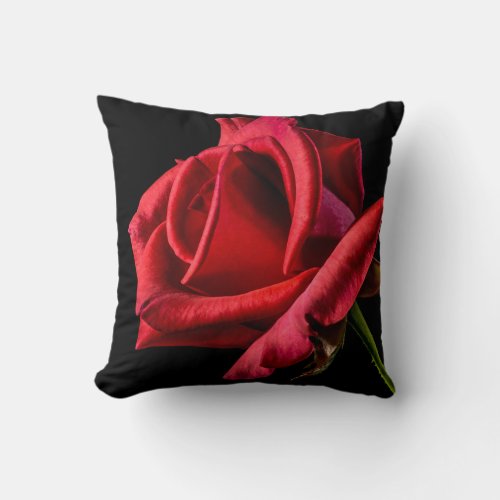 Red Rose Against Black Background Throw Pillow
