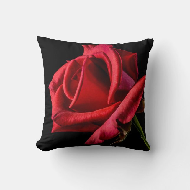 Red Rose Against Black Background Throw Pillow (Front)