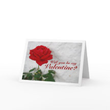 Red Rose against White Wall