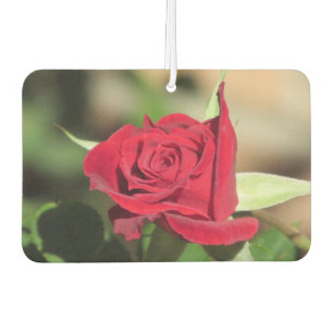 Red Rose Air Freshener