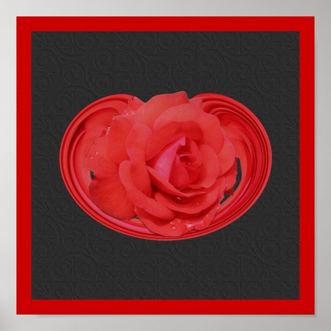 Red Rose And Raindrops Abstract Floral  Poster (Front)