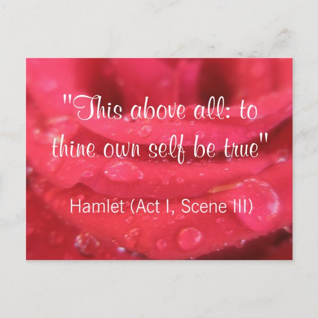 Red Rose and Raindrops Shakespeare Quote Postcard (Front)