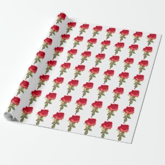 Red rose art on white background