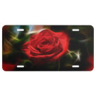 Red Rose Beauty