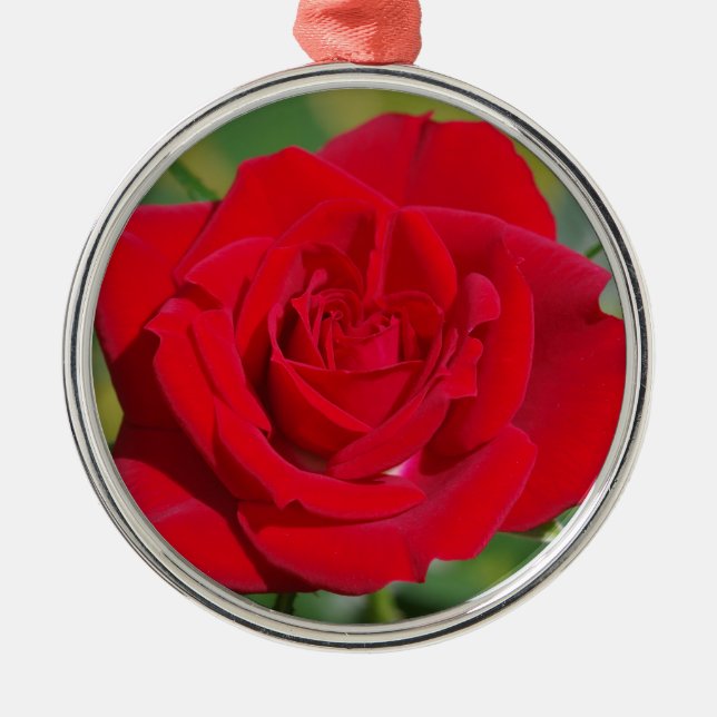 Red Rose Beauty Metal Ornament (Front)