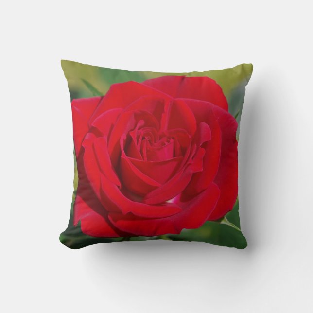 Red Rose Beauty Throw Pillow (Front)