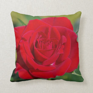 Red Rose Beauty Throw Pillow