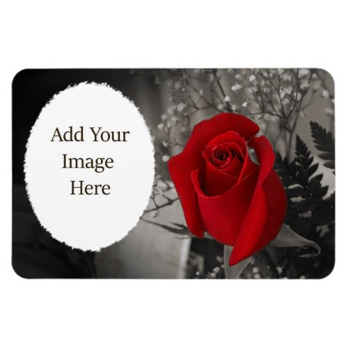 Red Rose Black and White Oval Frame Magnet